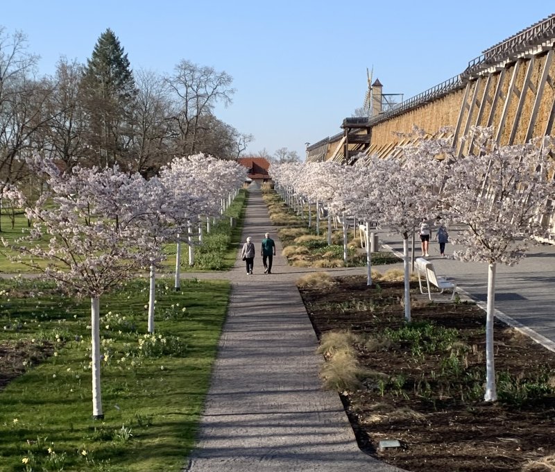 Frühling.jpg